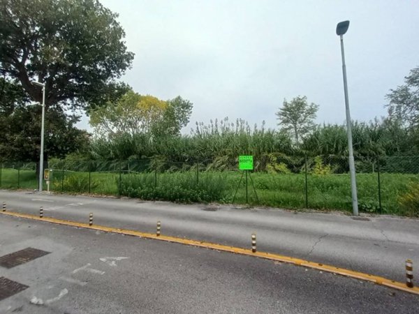 terreno agricolo in vendita a Porto Sant'Elpidio
