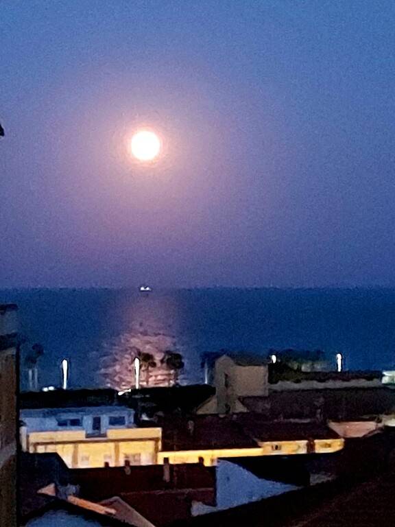 appartamento in vendita a Porto Sant'Elpidio