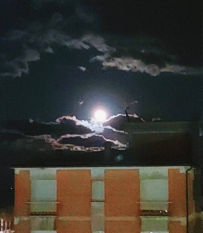 appartamento in vendita a Porto Sant'Elpidio