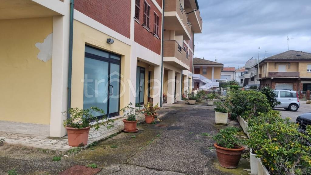 trivano in vendita a Porto Sant'Elpidio