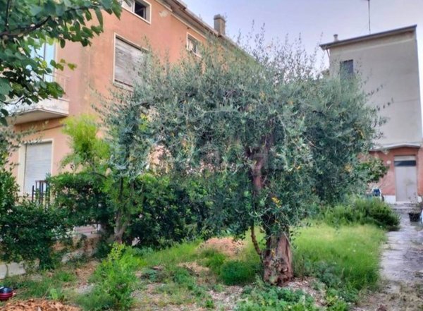 casa indipendente in vendita a Porto Sant'Elpidio