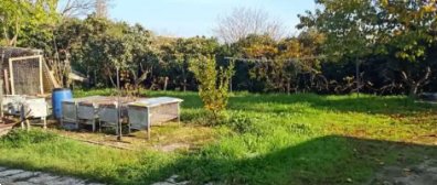 negozio in vendita a Porto Sant'Elpidio