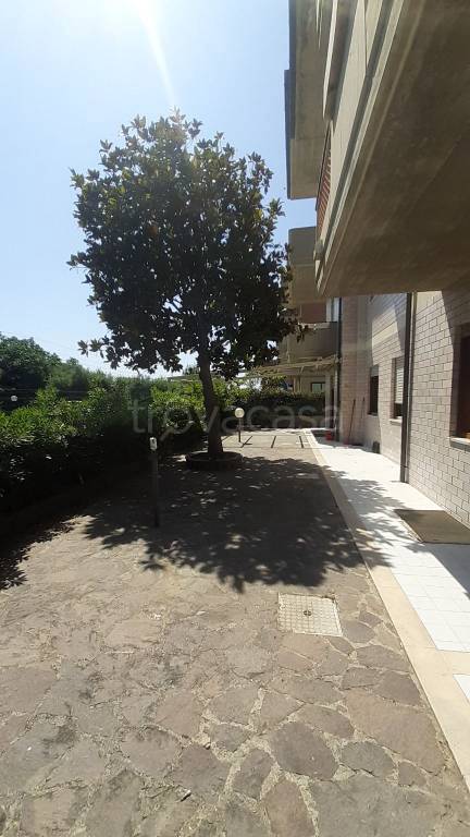 appartamento in vendita a Porto Sant'Elpidio
