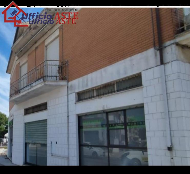 esavano in vendita a Porto Sant'Elpidio