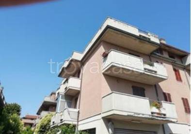 appartamento in vendita a Porto Sant'Elpidio