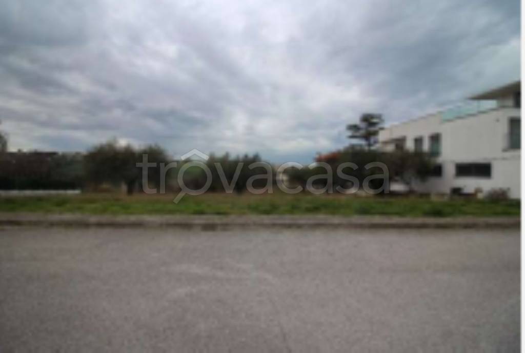 terreno agricolo in vendita a Porto Sant'Elpidio