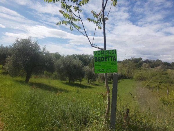 terreno agricolo in vendita a Porto Sant'Elpidio