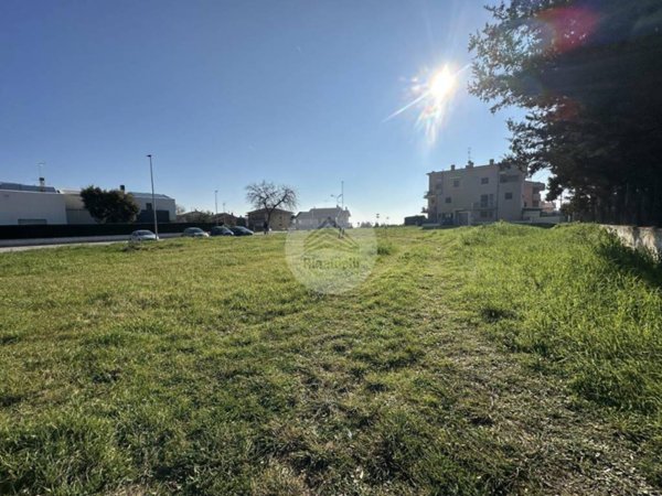 terreno agricolo in vendita a Porto Sant'Elpidio