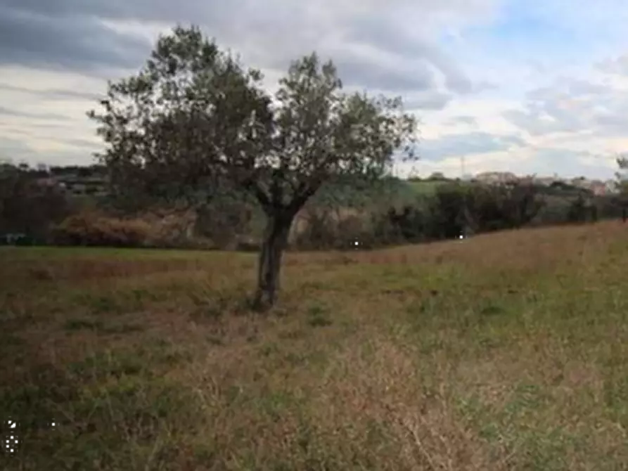 terreno agricolo in vendita a Porto Sant'Elpidio