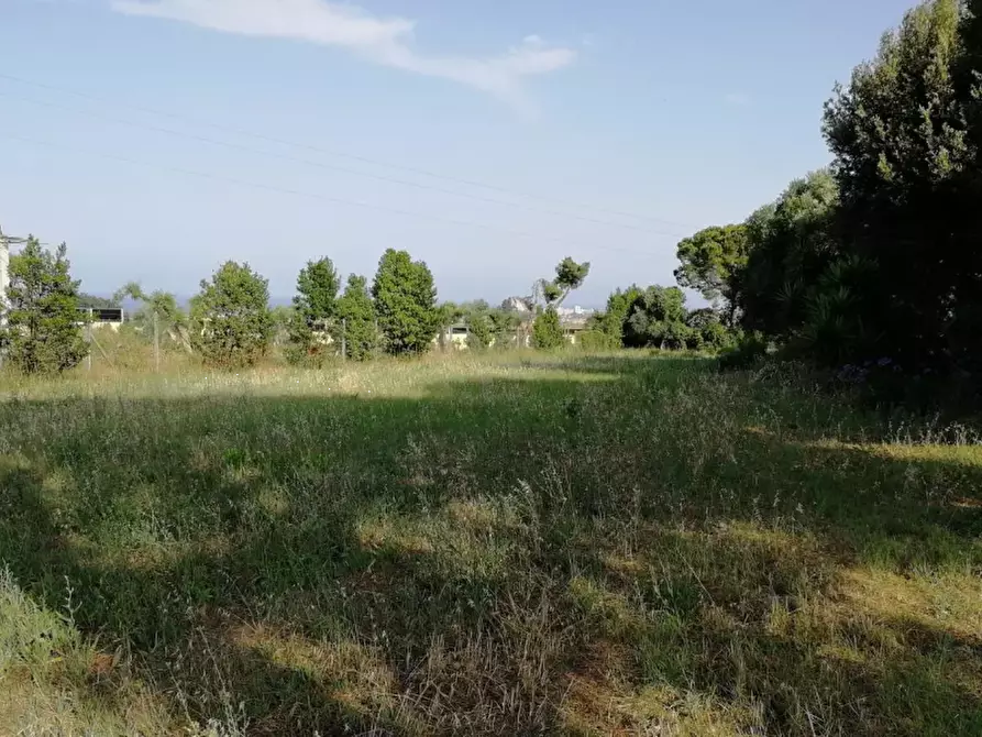 terreno agricolo in vendita a Porto Sant'Elpidio