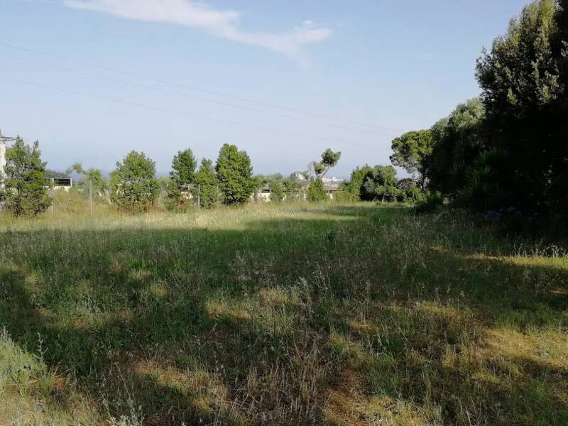 terreno agricolo in vendita a Porto Sant'Elpidio