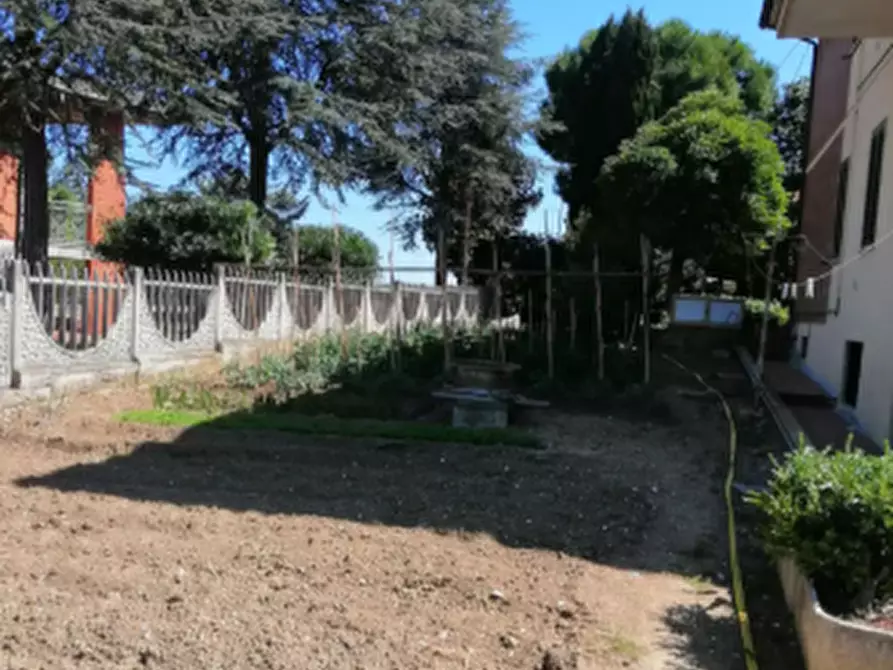 appartamento in vendita a Porto Sant'Elpidio