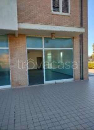 negozio in vendita a Porto Sant'Elpidio