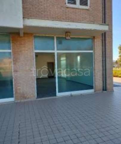 negozio in vendita a Porto Sant'Elpidio