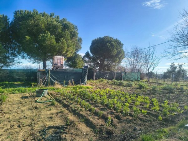 terreno agricolo in vendita a Porto Sant'Elpidio