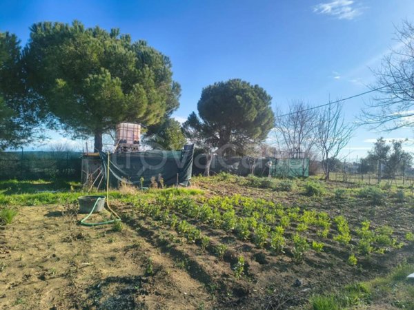 terreno agricolo in vendita a Porto Sant'Elpidio