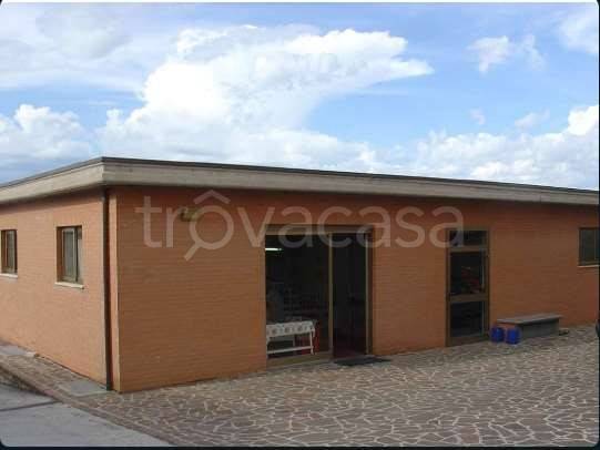 appartamento in vendita a Porto Sant'Elpidio