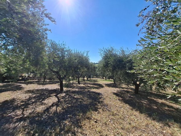 terreno in vendita a Porto Sant'Elpidio