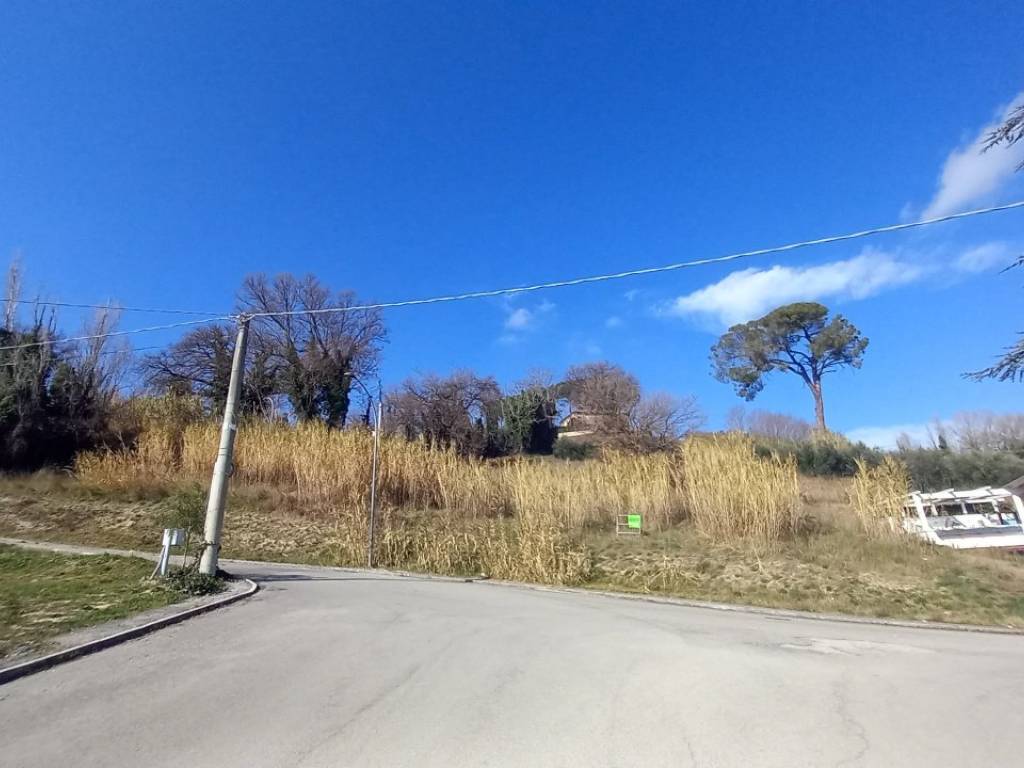 terreno agricolo in vendita a Rapagnano in zona Piane di Rapagnano