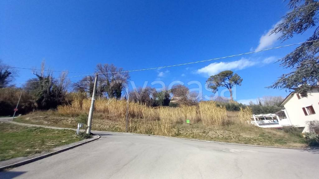 terreno agricolo in vendita a Rapagnano in zona Piane di Rapagnano