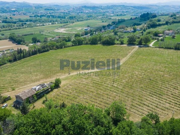 negozio in vendita a Rapagnano
