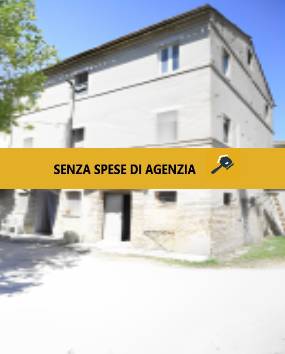 immagine annuncio 0 di 10