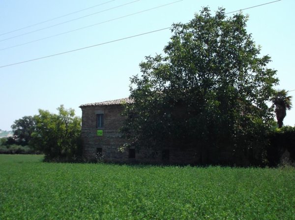 casa indipendente in vendita a Rapagnano