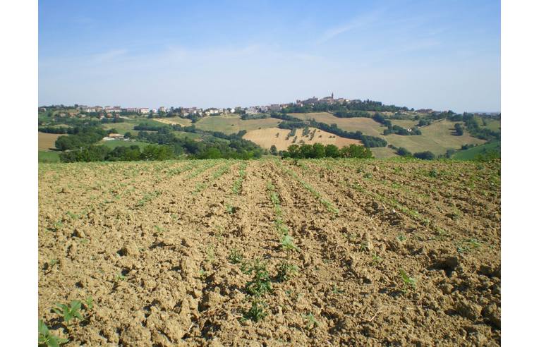 casa indipendente in vendita a Rapagnano