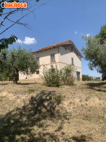 appartamento in vendita a Santa Vittoria in Matenano