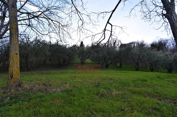 casa indipendente in vendita a Santa Vittoria in Matenano