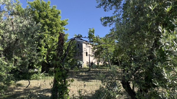 esavano in vendita a Santa Vittoria in Matenano