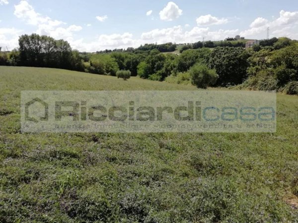terreno agricolo in vendita a Sant'Elpidio a Mare