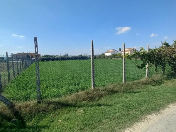 terreno agricolo in vendita a Sant'Elpidio a Mare in zona Cretarola