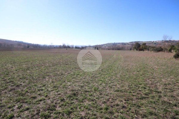 terreno agricolo in vendita a Sant'Elpidio a Mare