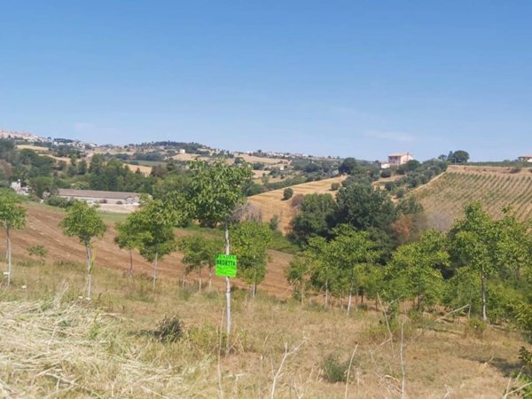 terreno agricolo in vendita a Sant'Elpidio a Mare