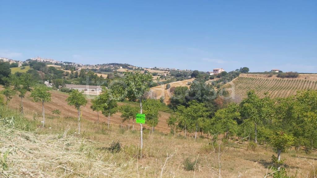 terreno agricolo in vendita a Sant'Elpidio a Mare