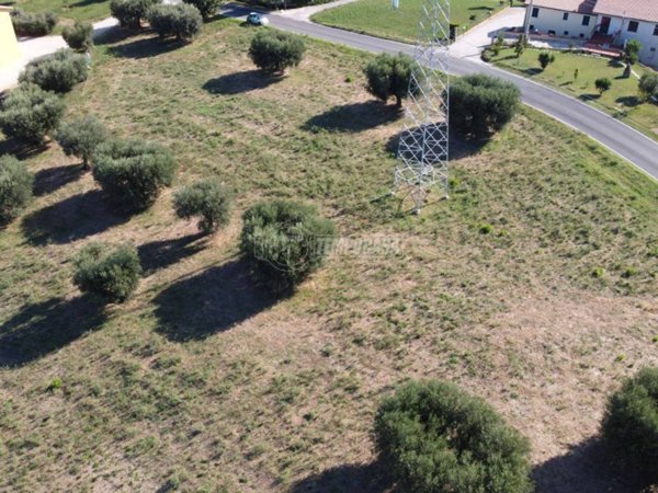 terreno agricolo in vendita a Sant'Elpidio a Mare
