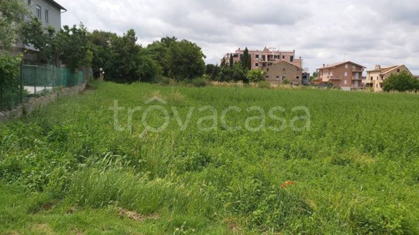 terreno agricolo in vendita a Sant'Elpidio a Mare in zona Bivio Cascinare