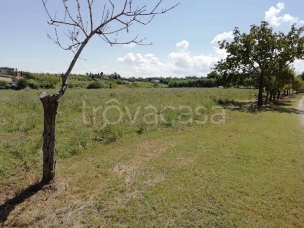 terreno agricolo in vendita a Sant'Elpidio a Mare