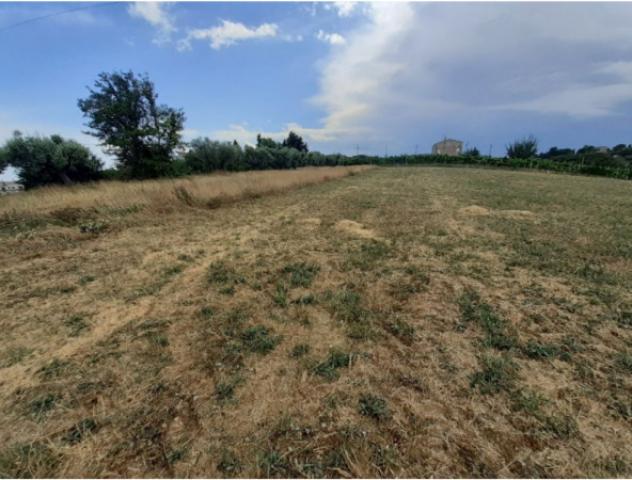 terreno agricolo in vendita a Sant'Elpidio a Mare