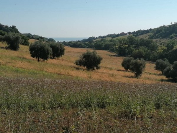 appartamento in vendita a Sant'Elpidio a Mare in zona Casette d'Ete