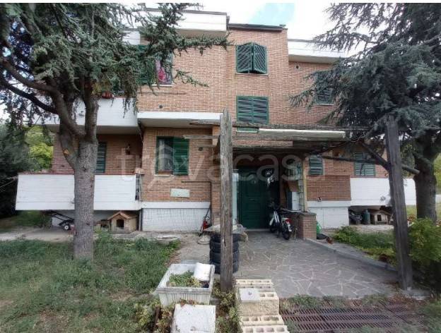 appartamento in vendita a Sant'Elpidio a Mare
