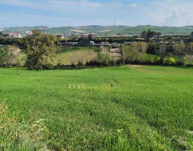 terreno agricolo in vendita a Sant'Elpidio a Mare