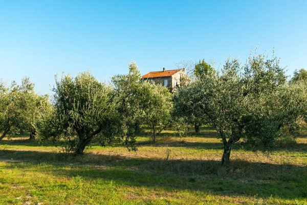 esavano in vendita a Sant'Elpidio a Mare