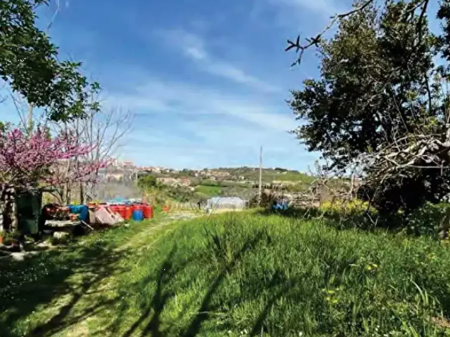 terreno agricolo in vendita a Sant'Elpidio a Mare