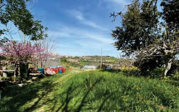 terreno agricolo in vendita a Sant'Elpidio a Mare