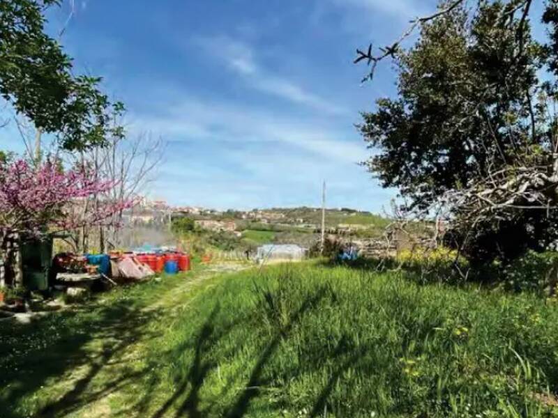 terreno agricolo in vendita a Sant'Elpidio a Mare