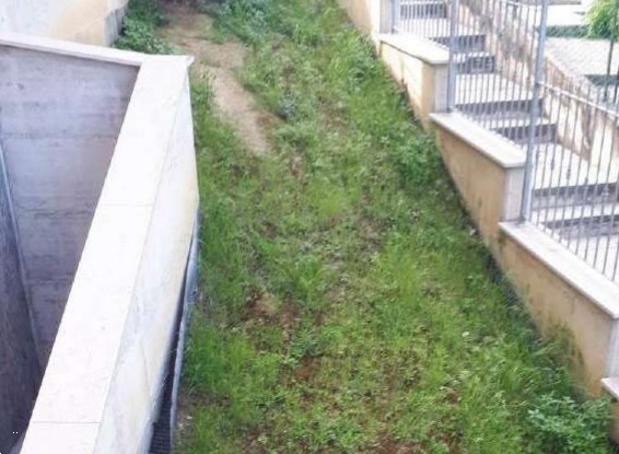 terreno agricolo in vendita a Sant'Elpidio a Mare