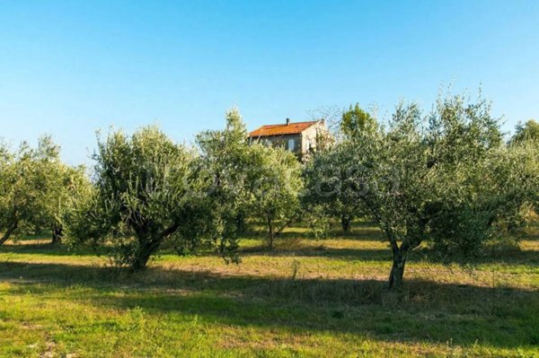 casa indipendente in vendita a Sant'Elpidio a Mare