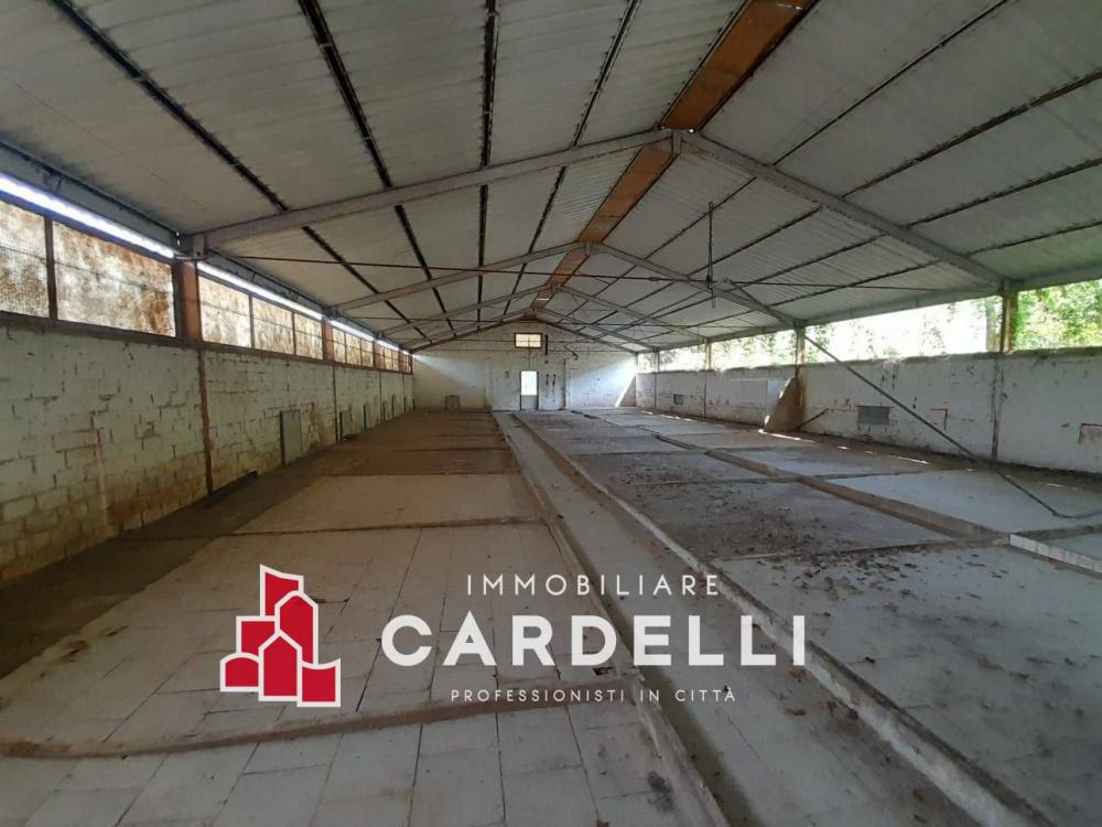 terreno agricolo in vendita a Sant'Elpidio a Mare